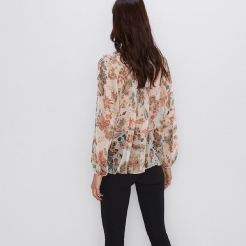 Zara Sheer Floral Ruffle Blouse - Picture 14 of 16